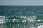 Picture of extremely clear water - ocean wave breaking near shore. Wallpapers courtesy www.FreePhotoCourse.com