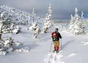Picture of a cross-country skiier in Port-au-Port, Newfoundland.  Honorable Mention featured in FreePhotoCourse.com 