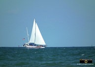 Beautiful picture of a sailboat on the blue ocean. © 2011, FreePhotoCourse.com, all rights reserved.  Awesome beach pictures & wallpapers. Download free jpg, jpeg photos. 