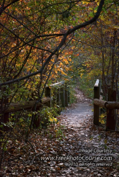 Beautiful picture of a leave-scattered hiking trail in the autumn.  © 2010, www.FreePhotoCourse.com, all rights reserved. 