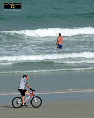 Picture of a man riding his bike on the beach, featuring a shore fisherman in the background. © 2011, FreePhotoCourse.com, all rights reserved.  Awesome beach pictures & wallpapers. Download free jpg, jpeg photos. 