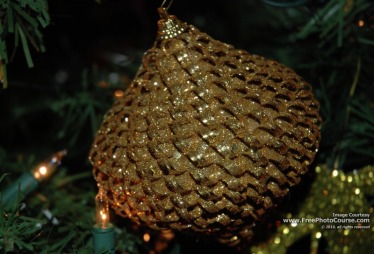 Picture of a gold Christmas tree decoration, courtesy www.FreePhotoCourse.com; (c) 2010, all rights reserved