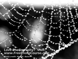 Spider Web and Water Droplets - Fine Art Photography Tips and Lessons - Visit www.FreePhotoCourse.com, all rights reserved 
