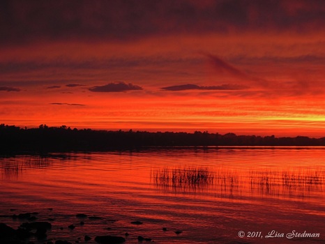 Stunning red sunset picture over a marshy pond; photo credit: Lisa Stedman. Selected as a Spring Photo Challenge winner in FreePhotoCourse.com's Contributor's Gallery series.  Visit FreePhotoCourse.com for free photography tips, wallpapers, articles, how-to's and much more.