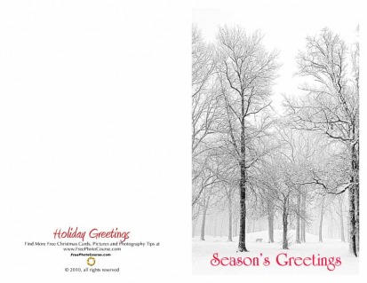 Thumbnail of half-fold Christmas Card; downloadable, printable; courtesy FreePhotocourse.com; (c) 2010, all rights reserved