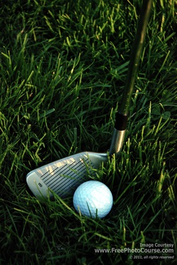 Picture of an eight iron and golf ball on a golf course fairway.  Find more free pictures and wallpapers at www.FreePhotoCourse.com.  © 2011, FreePhotoCourse.com; all rights reserved.  