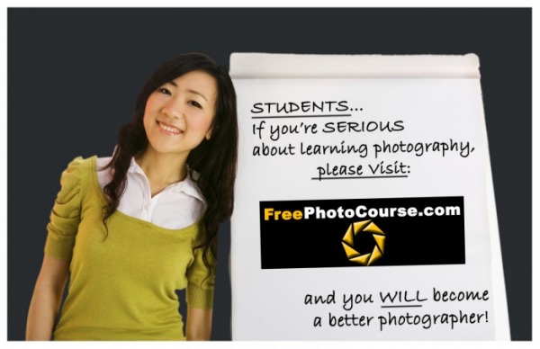 Web advertisement for FreePhotoCourse.com.  Free online digital photography lessons, professional photo tips, DSLR camera course, contributor's gallery, free jpg pictures and wallpapers, interviews with pro photographers and much more for the photography enthusiast!