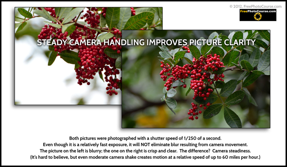 Photography Tips: comparison of steady vs shaky camera handling and resulting picture clarity.  Photography tips and tutorials from www.FreePhotoCourse.com. © 2012, FreePhotoCourse.com, all rights reserved. 