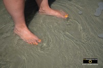 Picture of a woman's feet and painted toenails standing in the beach ocean surf. © 2011, FreePhotoCourse.com, all rights reserved.  Awesome beach pictures & wallpapers. Download free jpg, jpeg photos. 