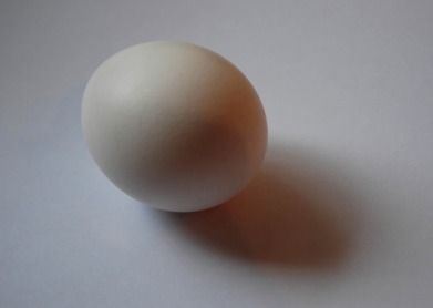 Picture of an egg casting a very soft shadow from an overcast day. © 2011, FreePhotoCourse.com, all rights reserved. 