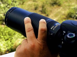 Picture of a pair of hands holding a DSLR camera with 300mm zoom lens. Image registered to FreePhotoCourse.com and copyrighted for use as icon for their 'Photographer Profiles' series. © 2011, FreePhotoCourse.com, all rights reserved.  